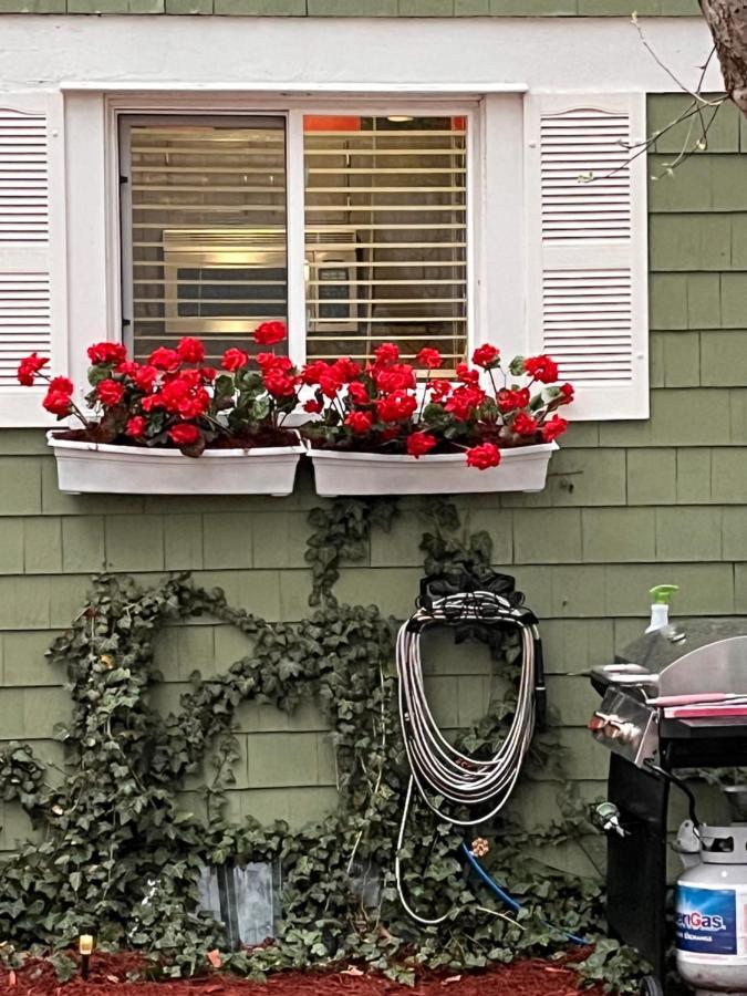 グランドラピッズ Cozy Cape Codヴィラ エクステリア 写真