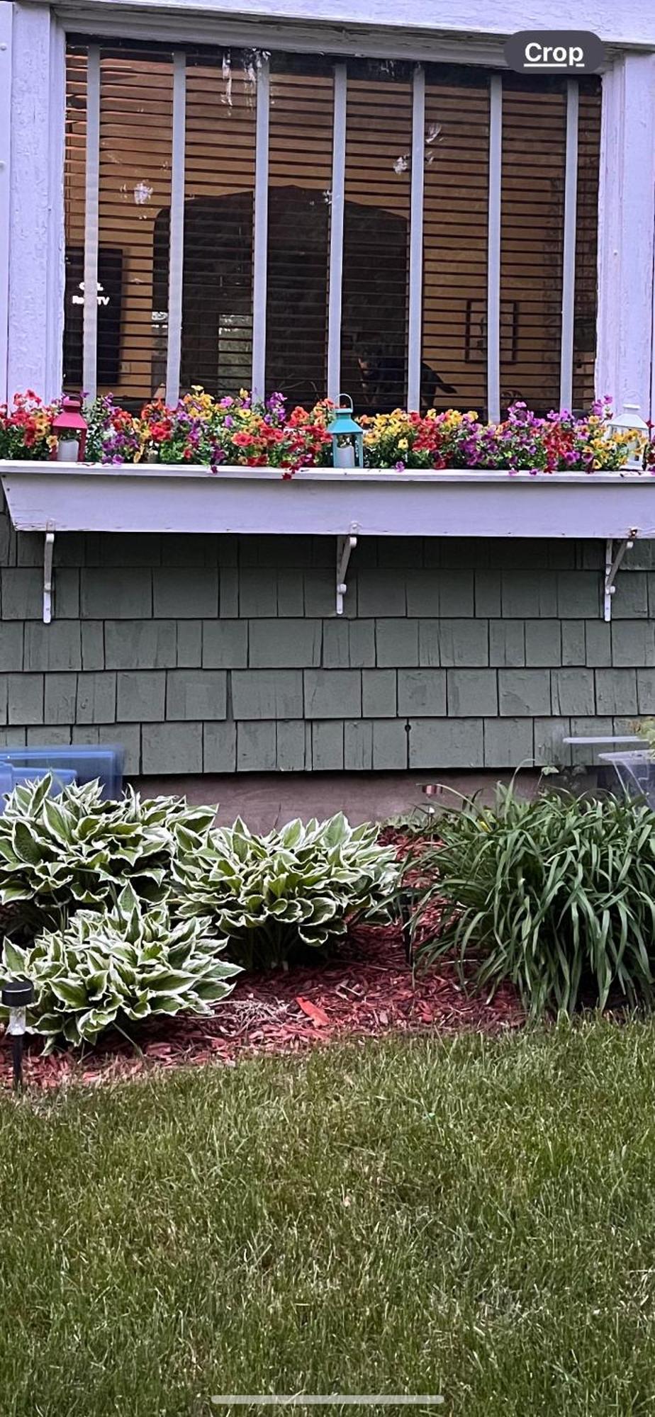 グランドラピッズ Cozy Cape Codヴィラ エクステリア 写真